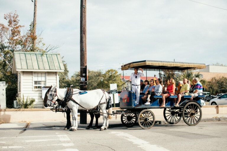 Tourists enjoy a scenic horse-drawn carriage ride through the city, guided by an experienced tour guide.